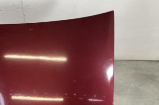 Malle/Hayon arriere PEUGEOT 406