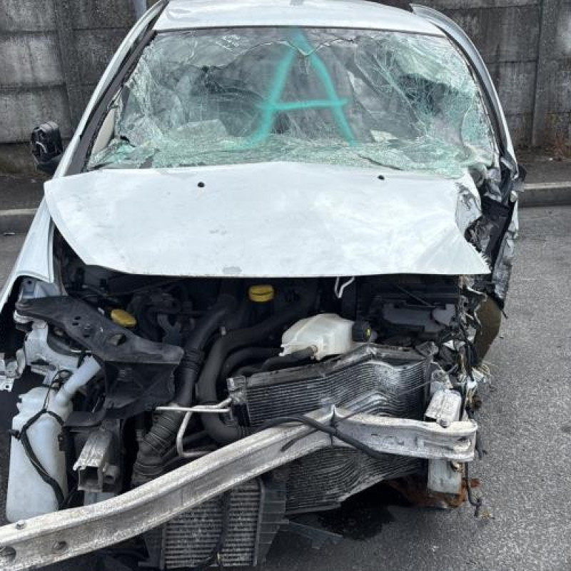 Poignee porte avant droit RENAULT CLIO 3 Photo n°13