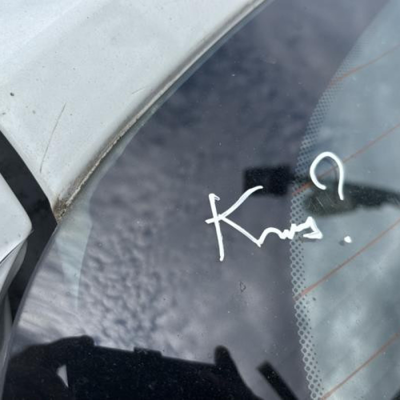 Poignee porte avant droit RENAULT CLIO 3 Photo n°18