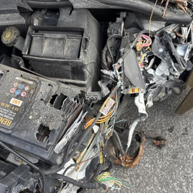 Poignee porte avant droit RENAULT CLIO 3 Photo n°20