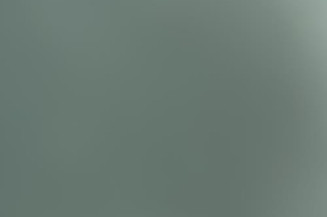 Poignee interieur porte laterale droite RENAULT KANGOO 2