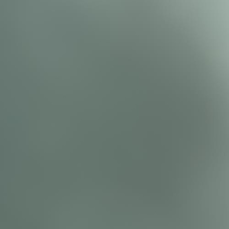 Poignee interieur porte laterale droite RENAULT KANGOO 2 Photo n°4