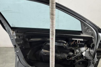 Porte avant gauche MERCEDES CLASSE E 211