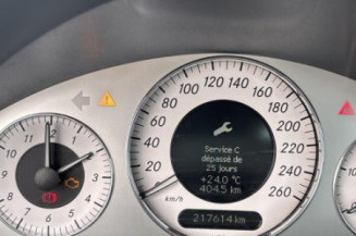 Porte avant gauche MERCEDES CLASSE E 211