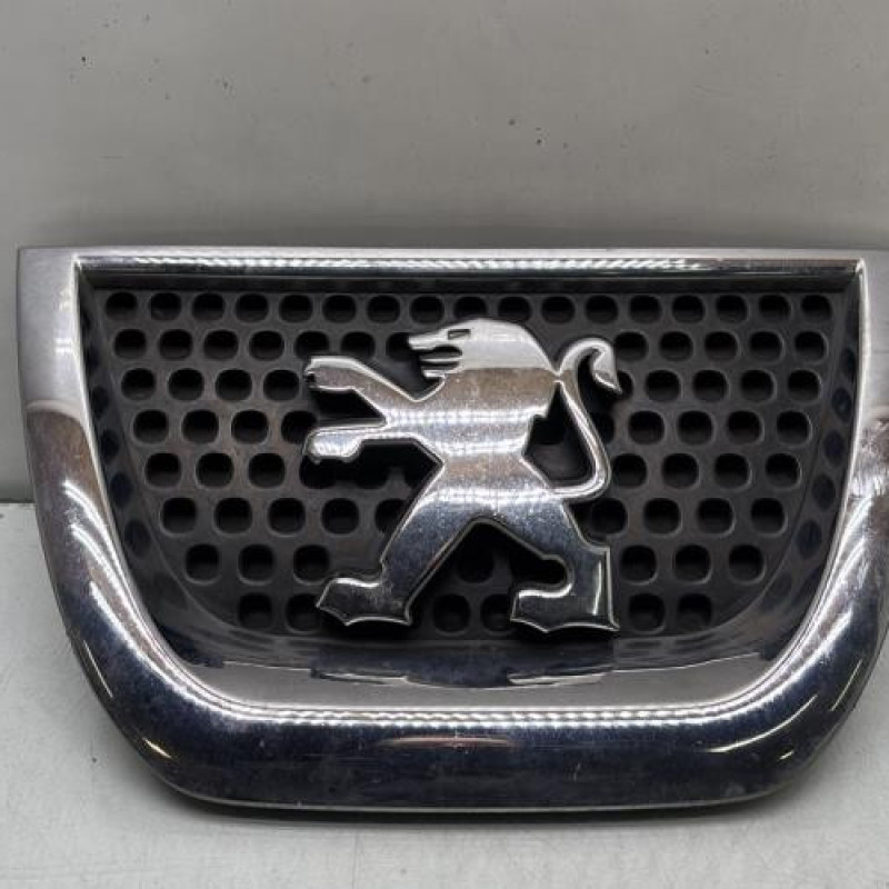 Sigle de calandre PEUGEOT 3008 1 Photo n°1