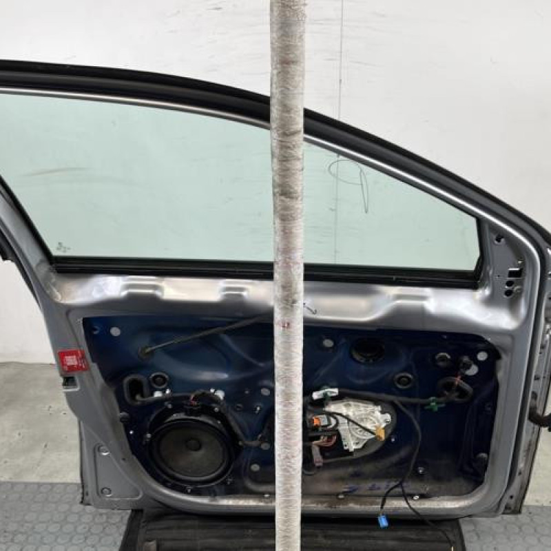 Porte avant gauche VOLKSWAGEN GOLF 6 Photo n°6