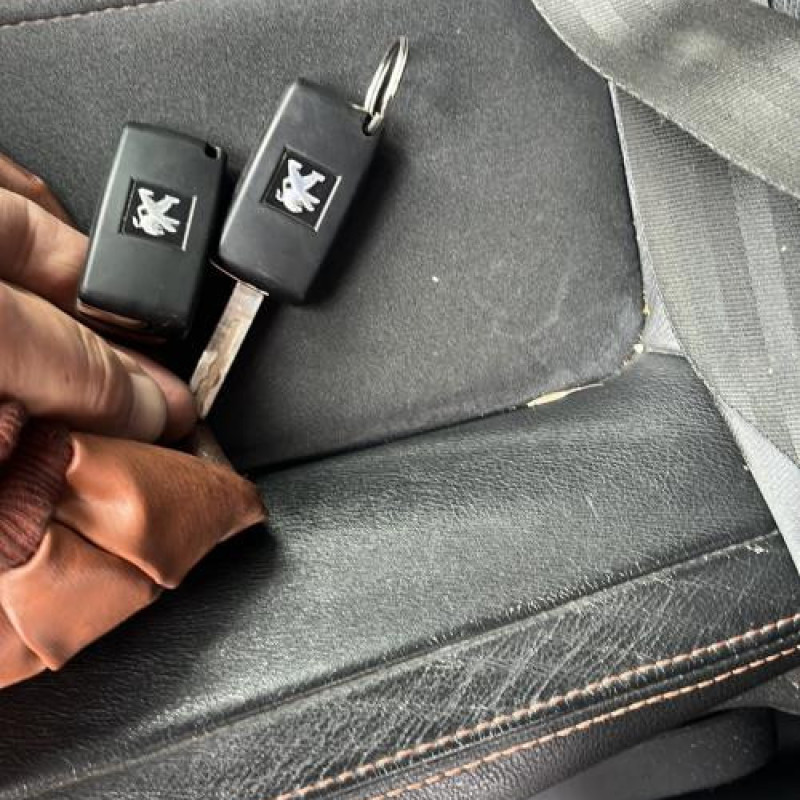 Porte avant droit PEUGEOT 3008 1 Photo n°18