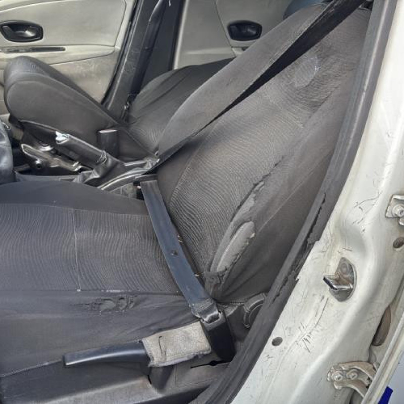 Baguette de porte avant gauche RENAULT MEGANE 3 Photo n°15