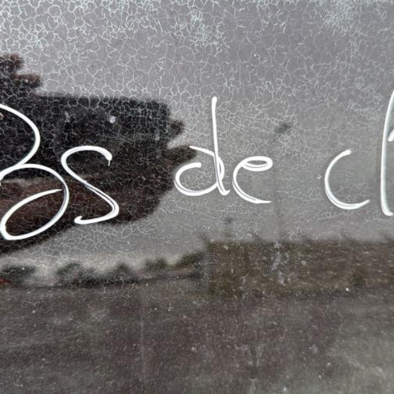 Anti brouillard gauche (feux) PEUGEOT 206 Photo n°13