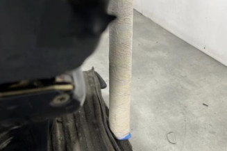 Porte arriere gauche PEUGEOT 205