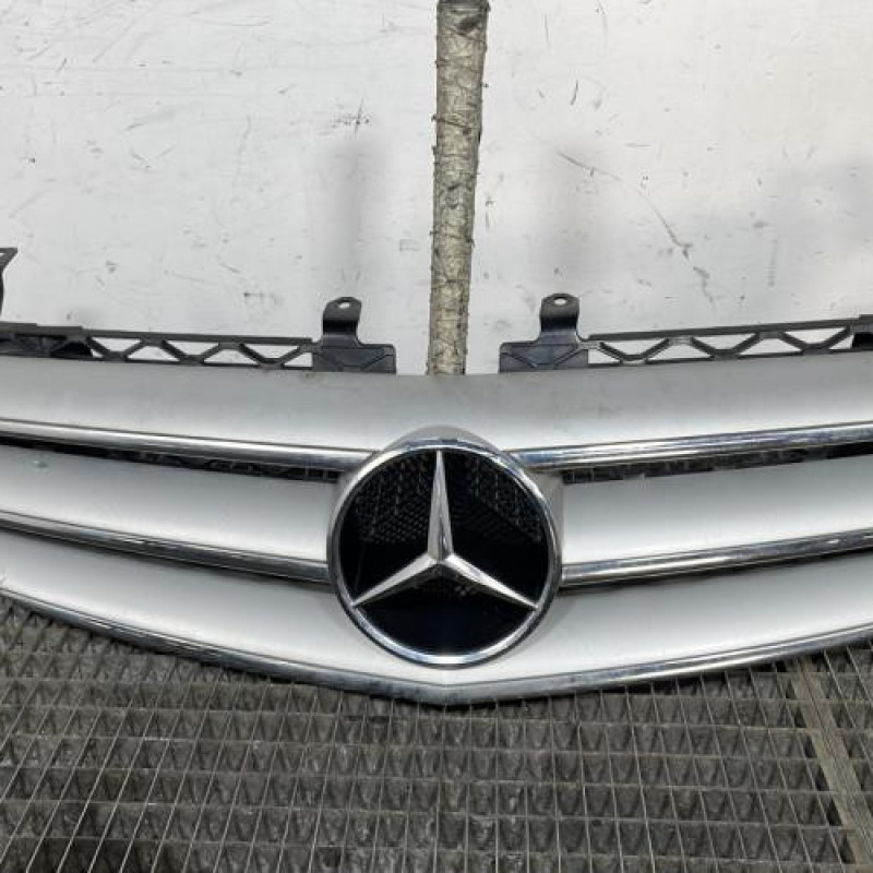 Calandre MERCEDES CLASSE R 251 Photo n°1