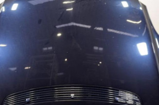 Capot MERCEDES CLASSE R 251 Photo n°1