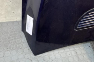 Capot MERCEDES CLASSE R 251