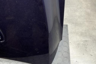 Capot MERCEDES CLASSE R 251