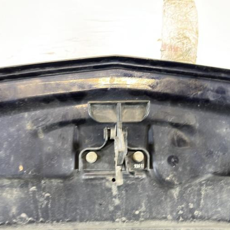 Capot MERCEDES CLASSE R 251 Photo n°9