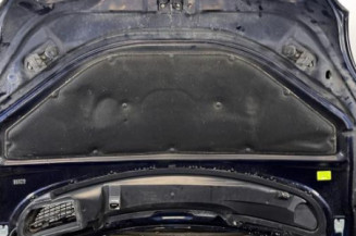 Capot MERCEDES CLASSE R 251