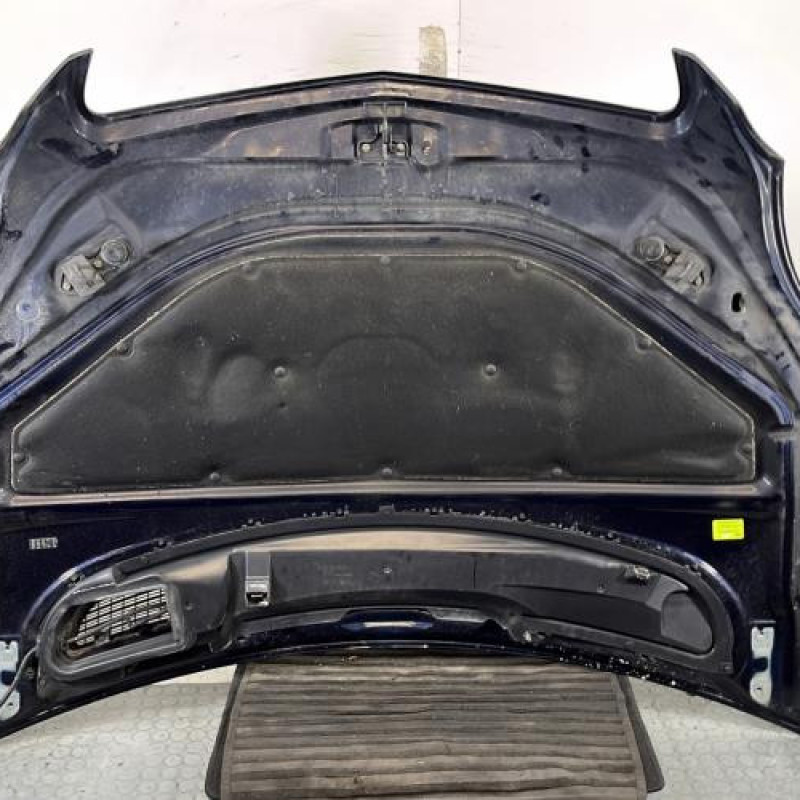 Capot MERCEDES CLASSE R 251 Photo n°13