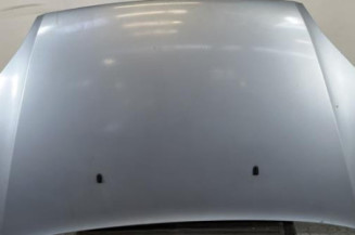 Capot FORD C-MAX 1 Photo n°1