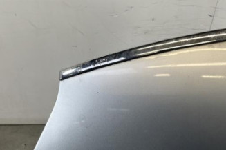 Capot CITROEN C4 PICASSO 1