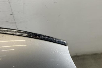 Capot CITROEN C4 PICASSO 1