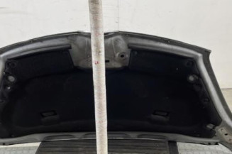 Capot CITROEN C4 PICASSO 1