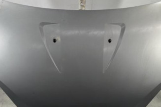 Capot DACIA SANDERO 1 Photo n°1