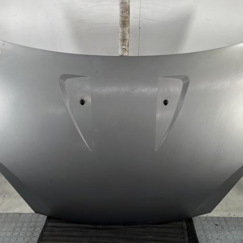 Capot DACIA SANDERO 1 Photo n°1