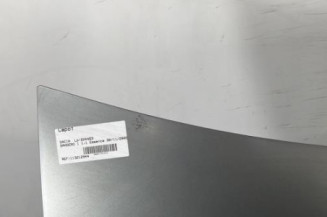 Capot DACIA SANDERO 1