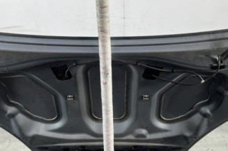 Capot DACIA SANDERO 1