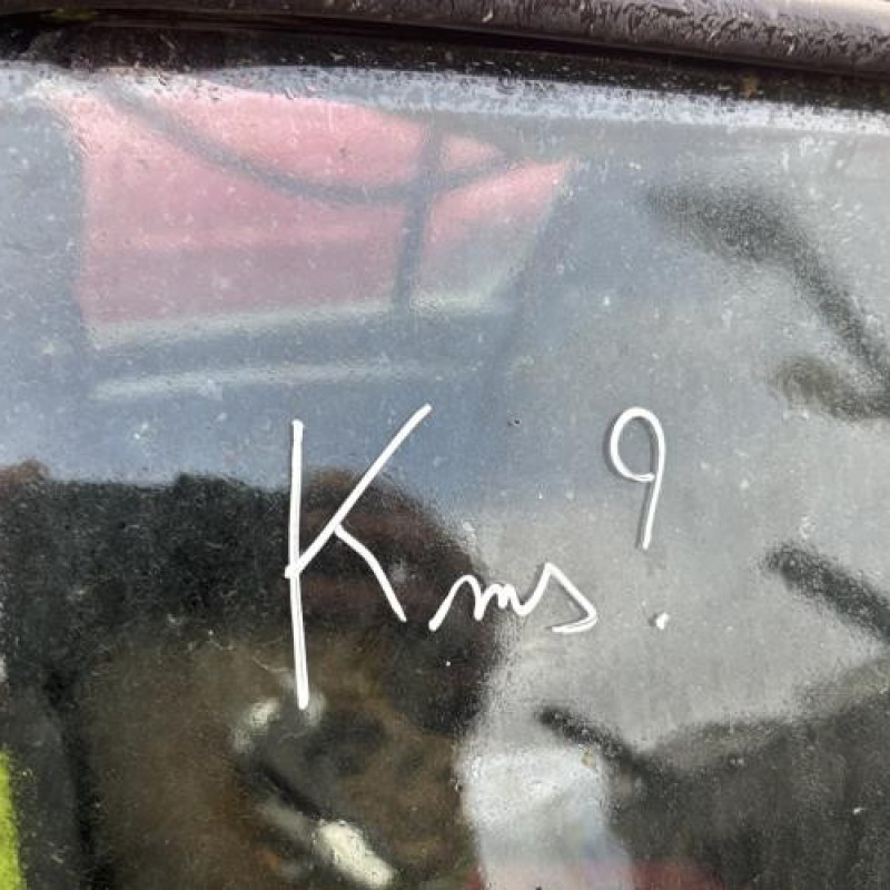 Capot DACIA SANDERO 1 Photo n°17