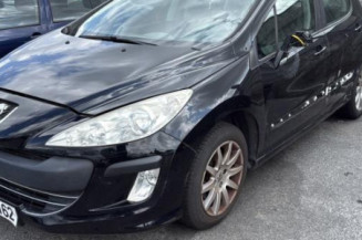 Custode avant gauche (porte) PEUGEOT 308 1