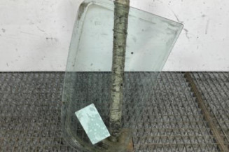 Custode arriere gauche (porte) DACIA SANDERO 1