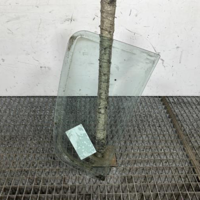 Custode arriere gauche (porte) DACIA SANDERO 1 Photo n°4