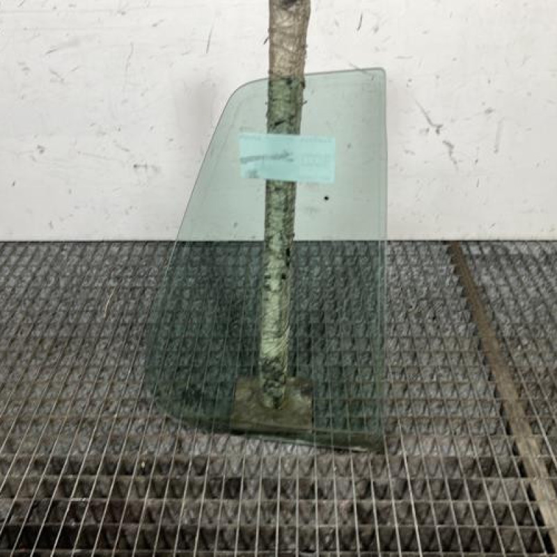 Custode arriere gauche (porte) VOLKSWAGEN GOLF 4 Photo n°4