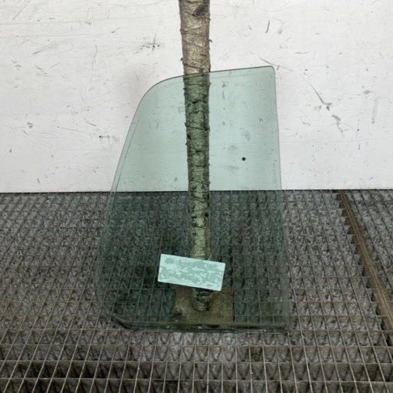 Custode arriere gauche (porte) VOLKSWAGEN GOLF 3 Photo n°4