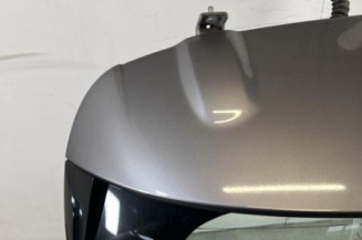 Malle/Hayon arriere RENAULT CLIO 4