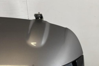 Malle/Hayon arriere RENAULT CLIO 4