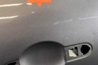 Porte avant gauche RENAULT CLIO 4