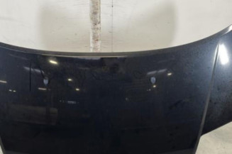 Capot CITROEN C2 Photo n°1