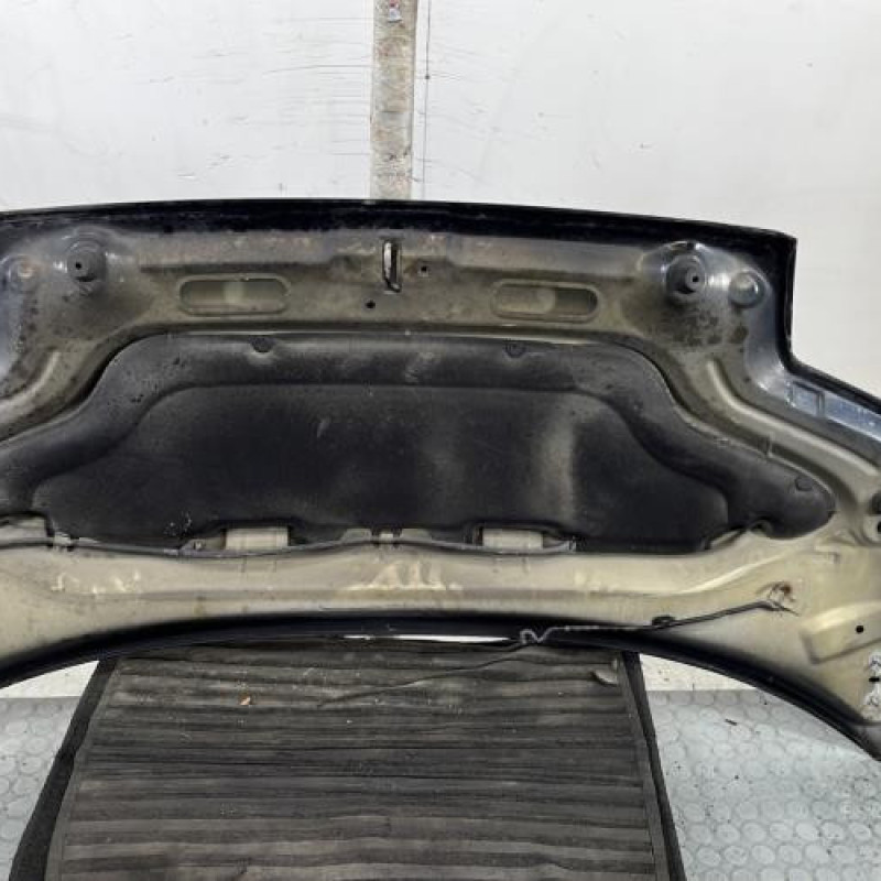 Capot CITROEN C2 Photo n°10