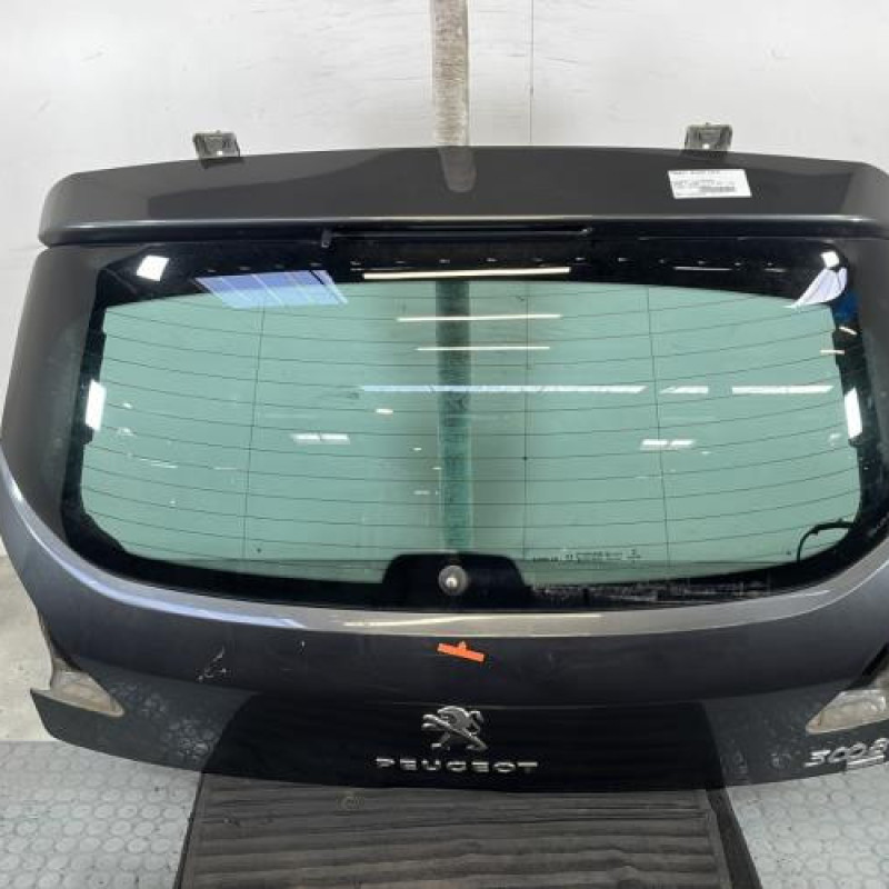 Malle/Hayon arriere PEUGEOT 3008 1 Photo n°1