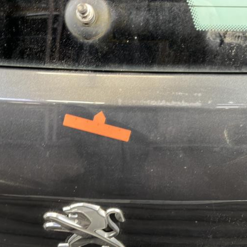 Malle/Hayon arriere PEUGEOT 3008 1 Photo n°2