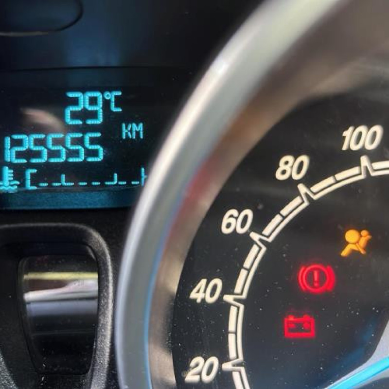 Porte arriere gauche FORD FIESTA 6 Photo n°12