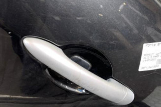 Porte arriere gauche RENAULT CLIO 3