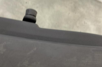 Porte arriere gauche RENAULT CLIO 3