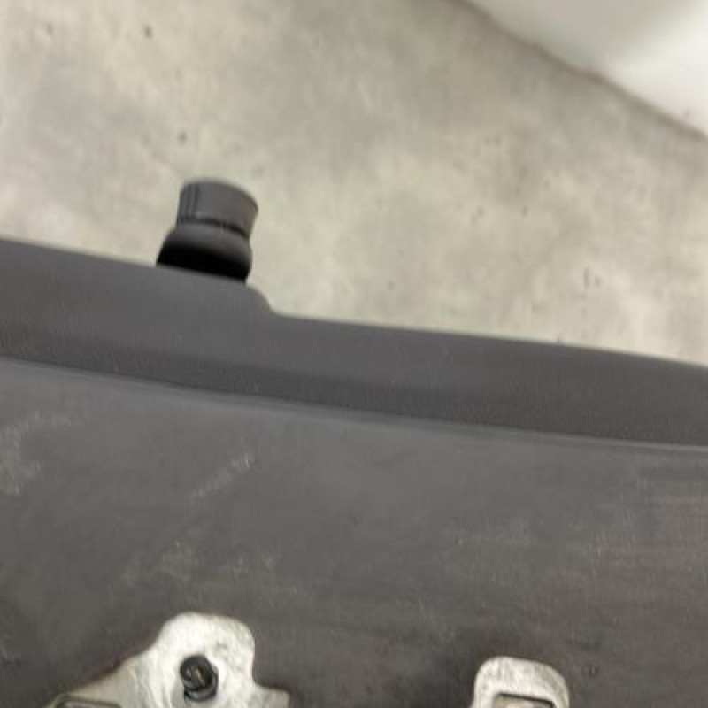 Porte arriere gauche RENAULT CLIO 3 Photo n°3