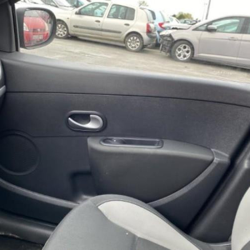 Porte arriere gauche RENAULT CLIO 3 Photo n°9