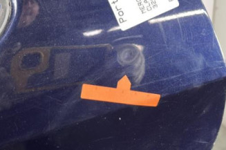 Porte arriere gauche MERCEDES CLASSE R 251