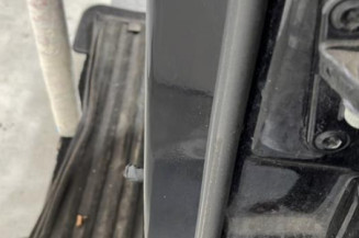 Porte arriere gauche MERCEDES CLASSE R 251