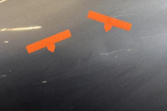 Porte arriere gauche RENAULT CLIO 4